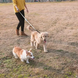 Поводок-рулетка 3 м для собак до 11 кг Retractable dog leash 0700 фото 8