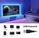 Светодиодная лента с пультом TV LED Strip CB-5050 RGB USB 5 метров 0506 фото 4