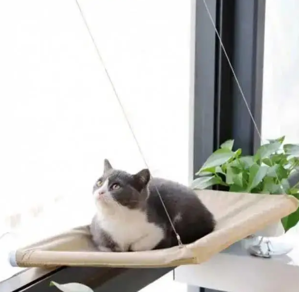 Лежанка гамак для кішок (до 22 кг) на вікно на присосках Microsoft mounted cat bed 0113 фото