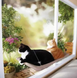 Лежанка гамак для кішок (до 22 кг) на вікно на присосках Microsoft mounted cat bed 0113 фото 2