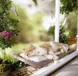 Лежанка гамак для кішок (до 22 кг) на вікно на присосках Microsoft mounted cat bed 0113 фото 5