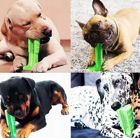 Жувальна іграшка - зубна щітка для собак Dog Chew Brush (S) 0688 фото