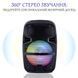 Бездротова акустика з RGB світломузикою і мікрофоном Tekno altavoces 6.5" 0939 фото 4