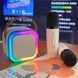 Детский караоке-набор с Bluetooth колонкой, RGB подсветкой и двумя микрофонами 0889 фото 2
