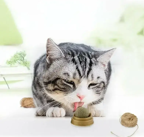 Льодяник з м'ятою для кішок, котяча м'ята, кулька з котячою м'ятою на липучці, ласощі для кішок 0465 фото