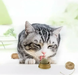 Льодяник з м'ятою для кішок, котяча м'ята, кулька з котячою м'ятою на липучці, ласощі для кішок 0465 фото 2