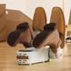 Электрическая сушилка Shoe Dryer, Электросушилка для обуви и других вещей 0900 фото 8